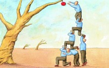 Trabalho em equipe e o fruto Sagrado!