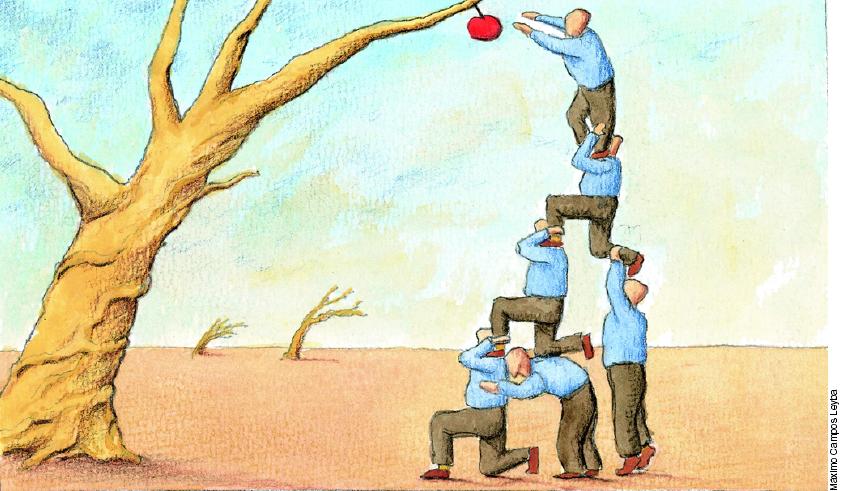 Trabalho em equipe e o fruto Sagrado!