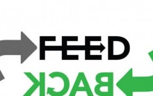 Falta de Feedback