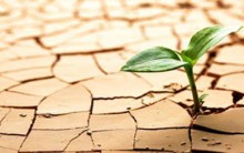 Resiliência no Trabalho