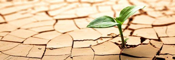 Resiliência no Trabalho