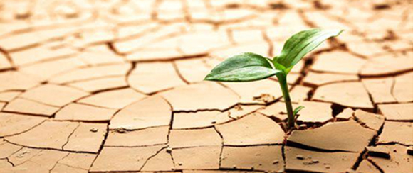 Resiliência no Trabalho