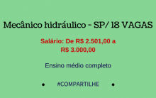 Mecânico hidráulico – SP/18 VAGAS