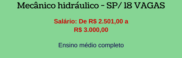 Mecânico hidráulico – SP/18 VAGAS