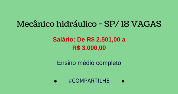 Mecânico hidráulico – SP/18 VAGAS